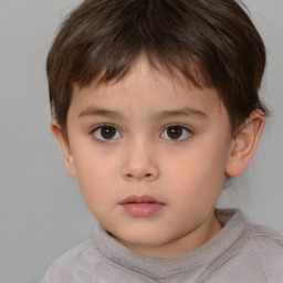 Neutral white child male with short  brown hair and brown eyes