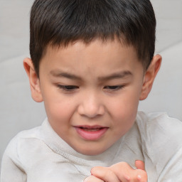 Joyful white child male with short  brown hair and brown eyes