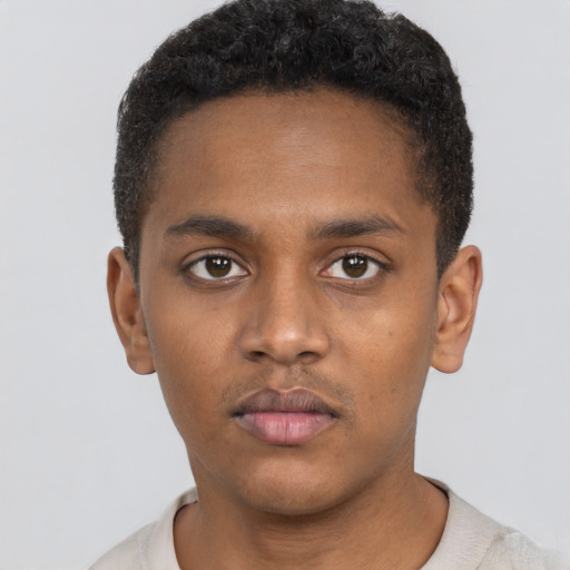 Neutral black young-adult male with short  black hair and brown eyes