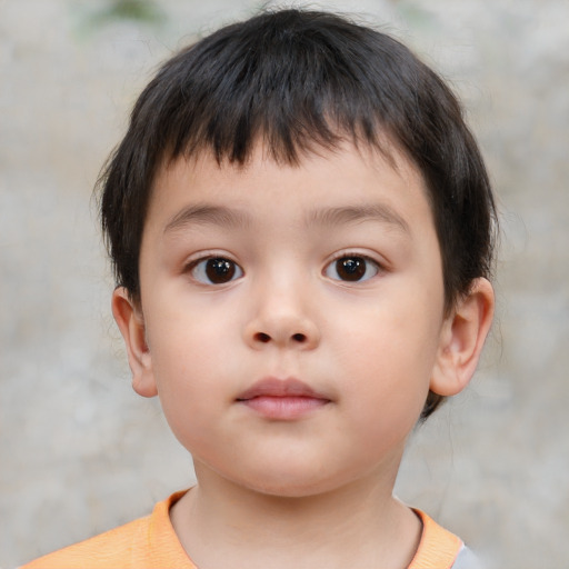 Neutral white child male with short  brown hair and brown eyes