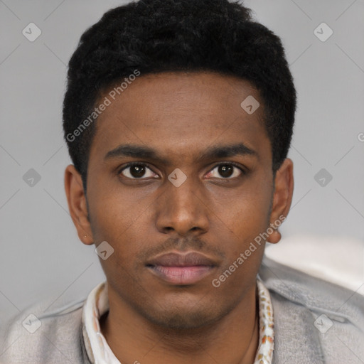 Neutral black young-adult male with short  black hair and brown eyes