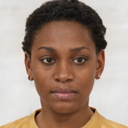 Neutral black young-adult female with short  brown hair and brown eyes