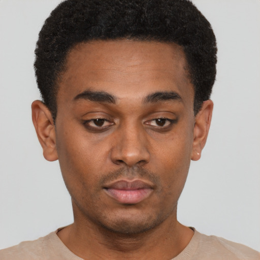 Neutral black young-adult male with short  black hair and brown eyes