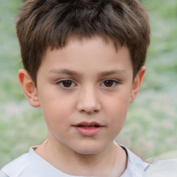 Neutral white child male with short  brown hair and brown eyes