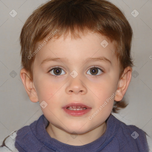 Neutral white child male with short  brown hair and brown eyes