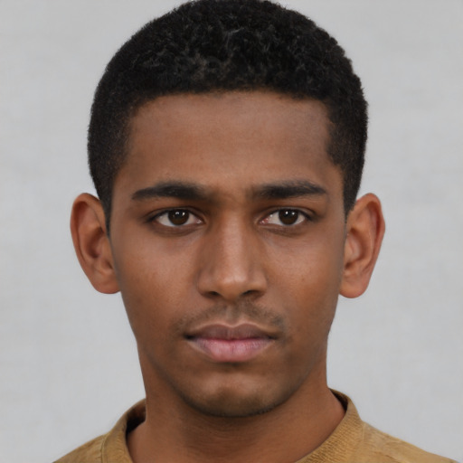 Neutral black young-adult male with short  brown hair and brown eyes