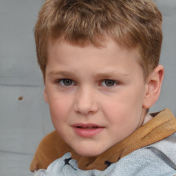 Joyful white child male with short  brown hair and grey eyes