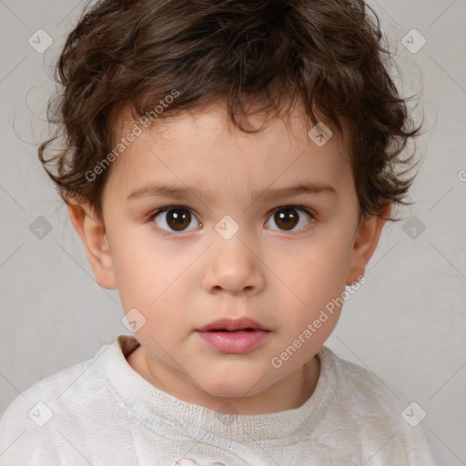 Neutral white child male with short  brown hair and brown eyes