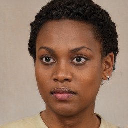 Neutral black young-adult female with short  brown hair and brown eyes