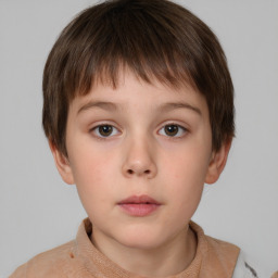 Neutral white child male with short  brown hair and brown eyes