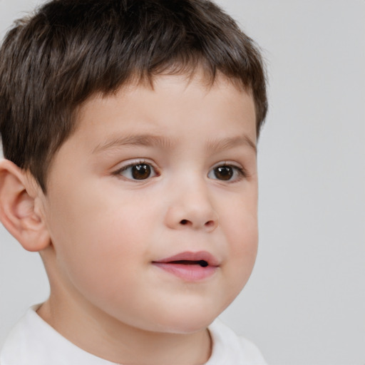 Neutral white child male with short  brown hair and brown eyes