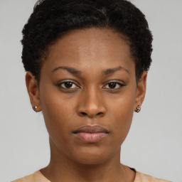 Neutral black young-adult female with short  brown hair and brown eyes