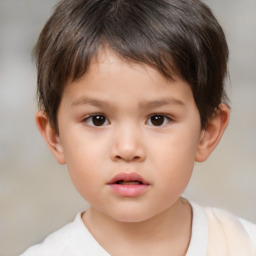 Neutral white child male with short  brown hair and brown eyes