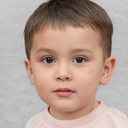 Neutral white child male with short  brown hair and brown eyes