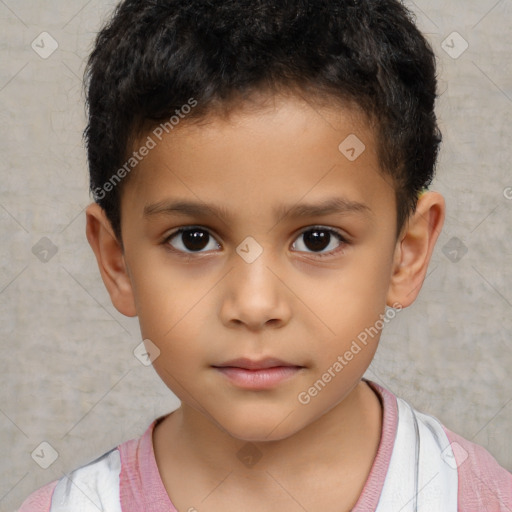 Neutral white child male with short  brown hair and brown eyes