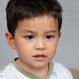 Neutral white child male with short  brown hair and brown eyes