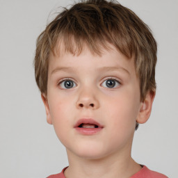 Neutral white child male with short  brown hair and brown eyes