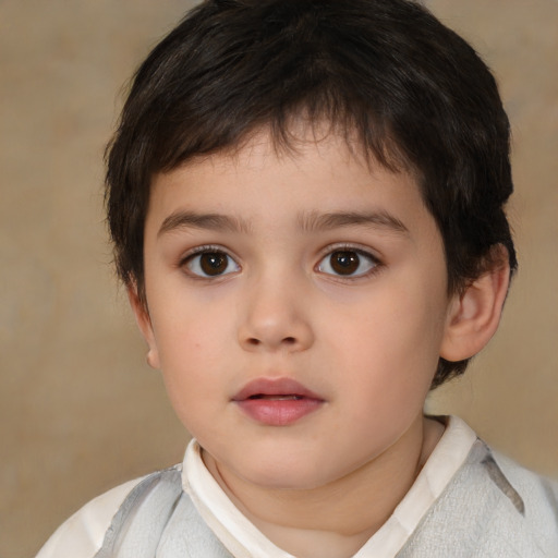 Neutral white child male with short  brown hair and brown eyes