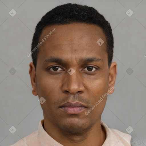 Neutral black young-adult male with short  black hair and brown eyes