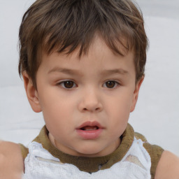 Neutral white child male with short  brown hair and brown eyes