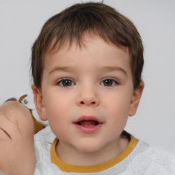 Neutral white child male with short  brown hair and brown eyes