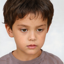 Neutral white child male with short  brown hair and brown eyes