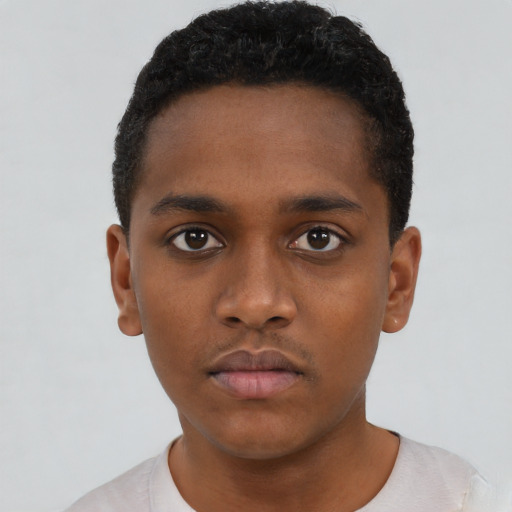 Neutral black young-adult male with short  black hair and brown eyes