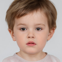 Neutral white child male with short  brown hair and brown eyes