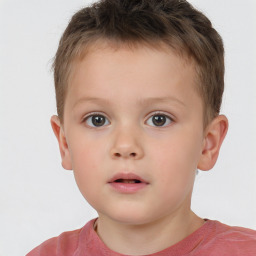 Neutral white child male with short  brown hair and brown eyes