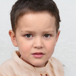 Neutral white child male with short  brown hair and brown eyes