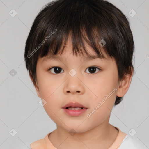 Neutral white child male with short  brown hair and brown eyes