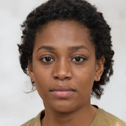 Neutral black young-adult female with short  brown hair and brown eyes