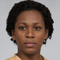 Neutral black young-adult female with short  brown hair and brown eyes