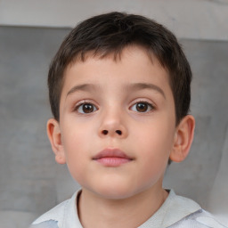 Neutral white child male with short  brown hair and brown eyes