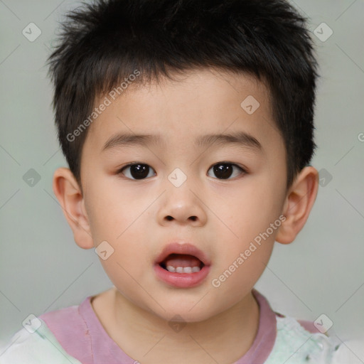 Neutral white child male with short  brown hair and brown eyes