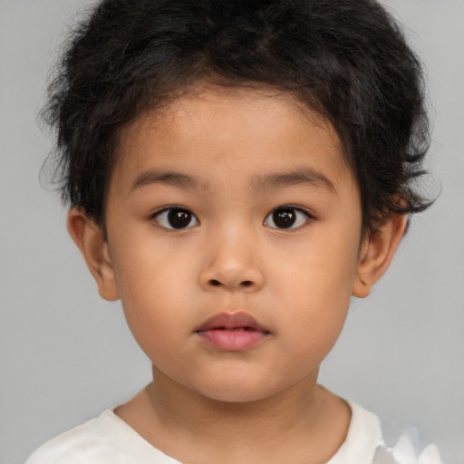 Neutral asian child male with short  brown hair and brown eyes