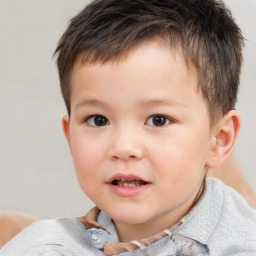 Neutral white child male with short  brown hair and brown eyes