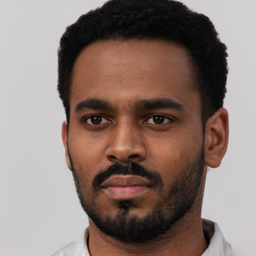 Neutral black young-adult male with short  black hair and brown eyes