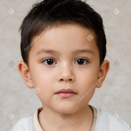 Neutral white child male with short  brown hair and brown eyes