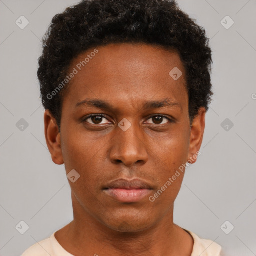 Neutral black young-adult male with short  brown hair and brown eyes