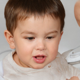 Neutral white child male with short  brown hair and brown eyes