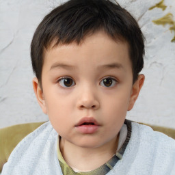 Neutral white child male with short  brown hair and brown eyes