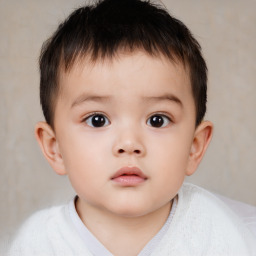 Neutral asian child male with short  brown hair and brown eyes