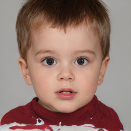 Neutral white child male with short  brown hair and brown eyes