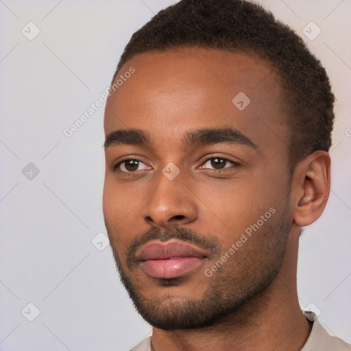 Neutral black young-adult male with short  brown hair and brown eyes