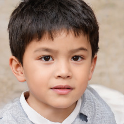 Neutral asian child male with short  brown hair and brown eyes