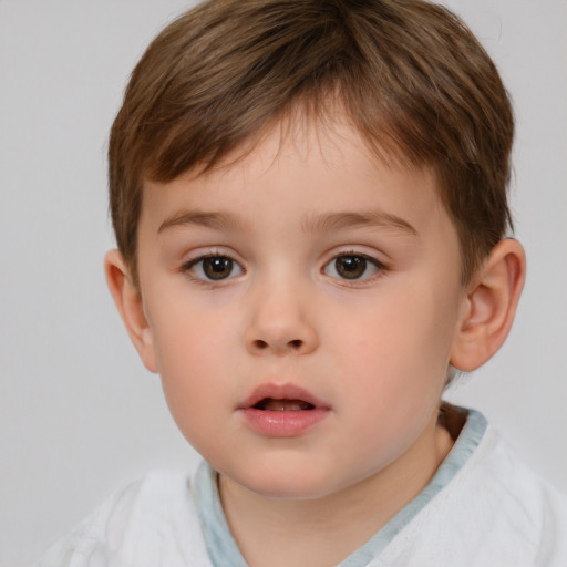 Neutral white child male with short  brown hair and brown eyes