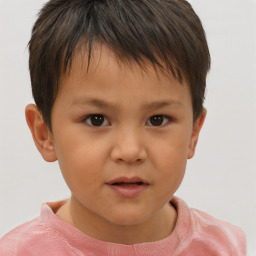 Neutral white child male with short  brown hair and brown eyes