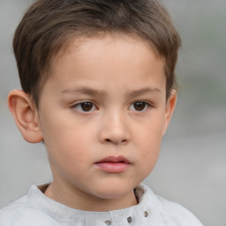 Neutral white child male with short  brown hair and brown eyes