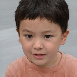 Neutral white child male with short  brown hair and brown eyes